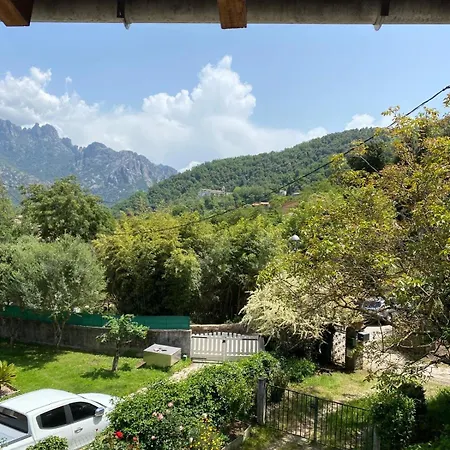 Face A La Montagne Vico